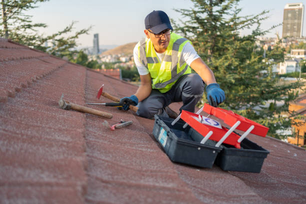 Best Insulated Siding Installation  in Seymour, TN